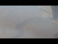 Condition Image