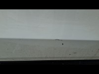 Condition Image