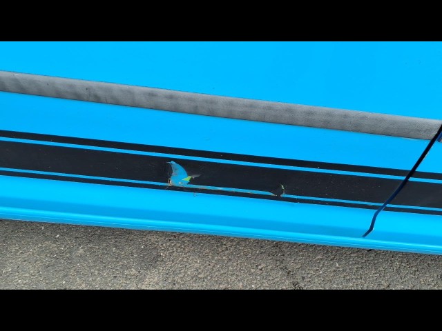 VOLKSWAGEN CADDY  MAXI C20 STARTLINE  2016, Newark Motor Auctions, C20 TDI STARTLINE, OTHER, NEWARK CODDINGTON, image-29 VOLKSWAGEN CADDY  MAXI C20 STARTLINE  2016 C20 TDI STARTLINE, Newark Motor Auctions, image-29